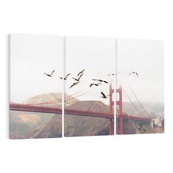 Obraz na płótnie 120x80 - Mewy przy Złotej Bramie - mewy, Golden Gate