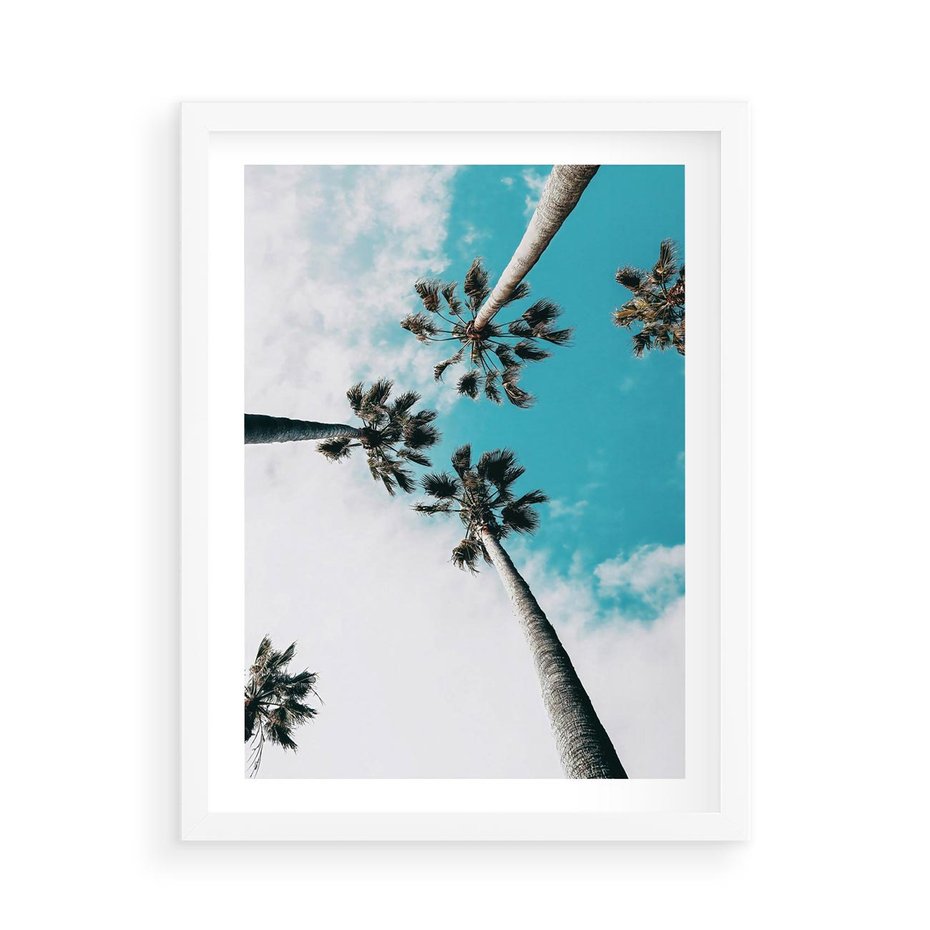 Plakat w ramie 50x70 - Palmy w Gorącym Niebie - palmy, ujęcie z dołu - rama biała
