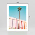 Plakat bez ramy 40x50 - Tropikalny Kontrast - palma na tle błękitnego nieba, kolorowy mur