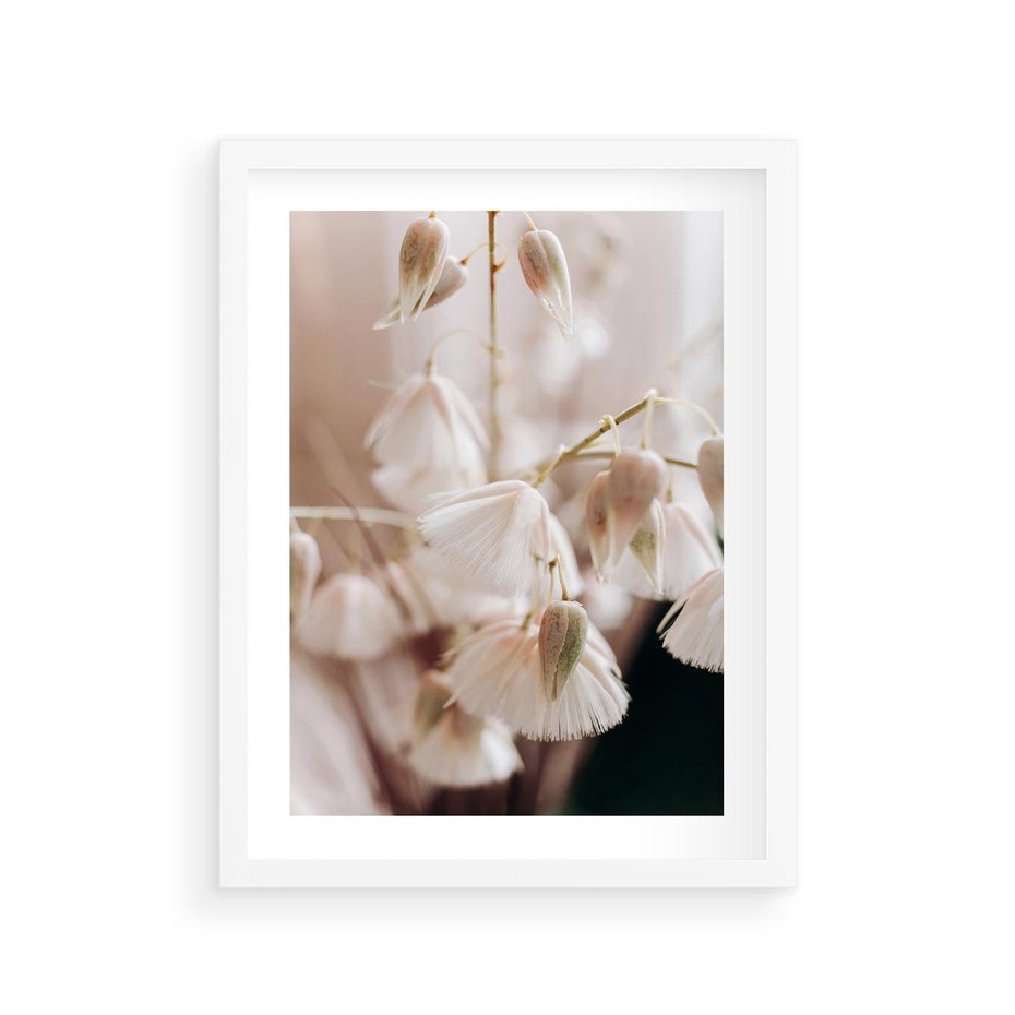Plakat w ramie 30x40 - Suszona Delikatność - suszone kwiaty, rośliny - rama biała