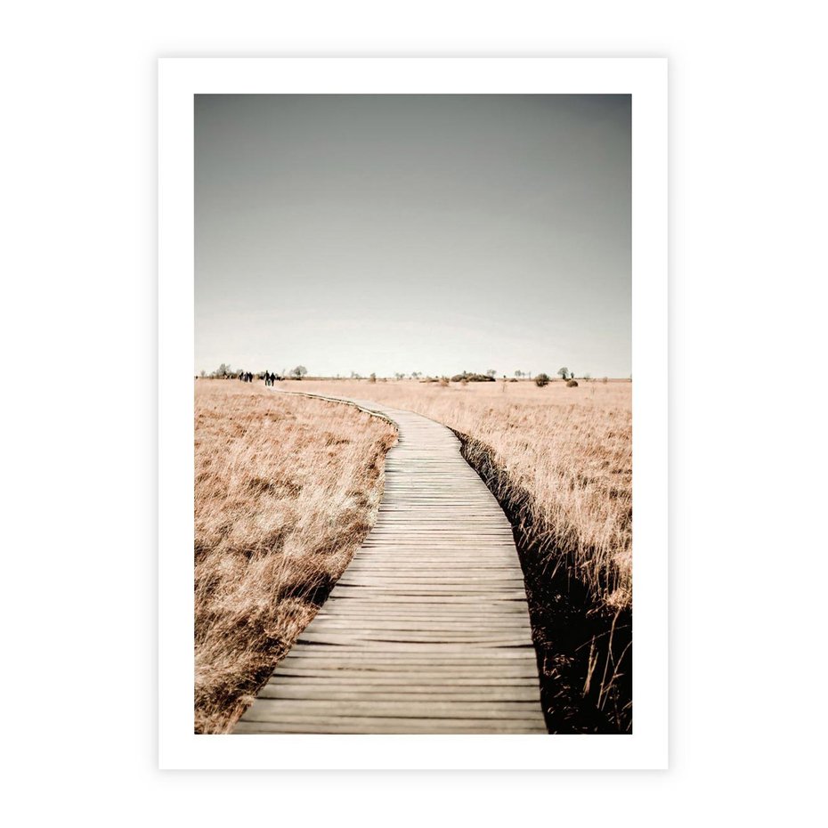 Plakat bez ramy 21x30 - Spacer Ścieżką w Suchych Trawach - ścieżka wśród suchych traw