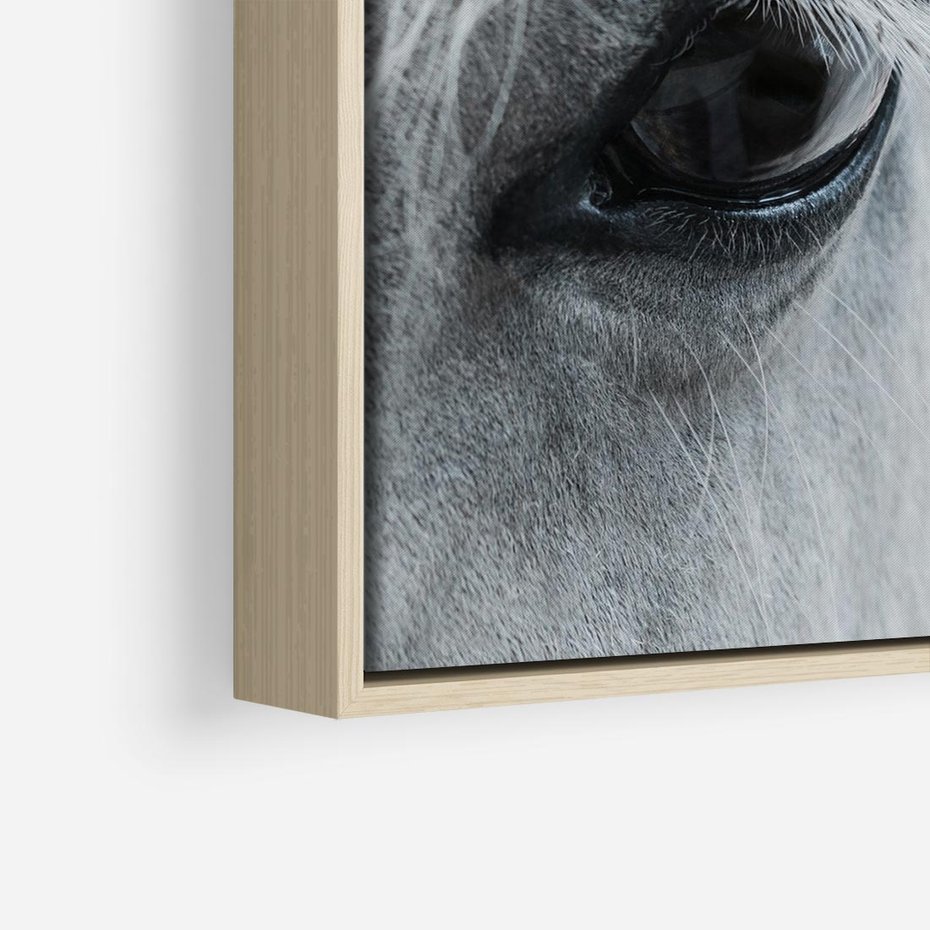 Obraz w ramie 80x80 - Oko Mocy - czarno białe zdjęcie, zbliżenie makro na oko konia - rama drewno