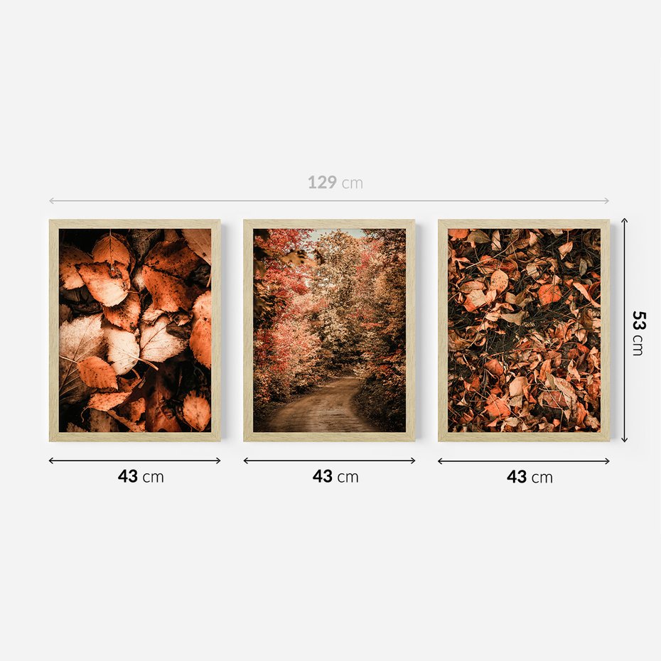 Zestaw obrazy w ramie 40x50 galeria - Liście, las, ścieżka - rama drewno