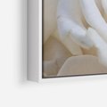 Obraz w ramie 100x70 - Białe róże piękności - białe, róże - rama biała