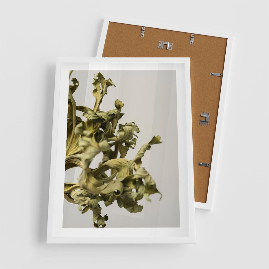 Plakat w ramie 50x70 - Odejście pory deszczowej - suche, trawy - rama biała