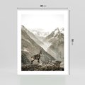 Plakat bez ramy 40x50 - Dzikie Piękno: Kozica w Malowniczym Górskim Scenerii - kozica, góry