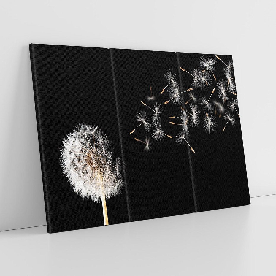 Obraz na płótnie 120x80 - Delikatne płatki dmuchawca - dmuchawiec, kwiaty