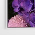 Obraz w ramie 80x120 - Fioletowa hortensja - kwiaty, hortensja - rama biała