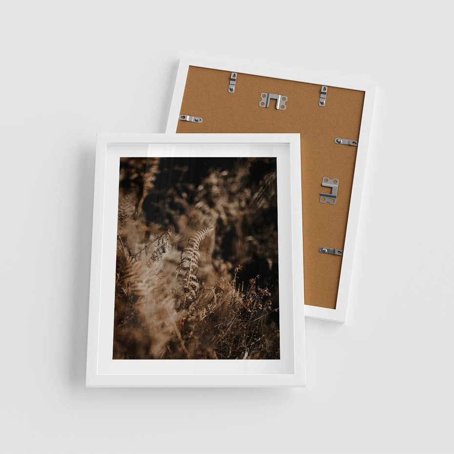 Plakat w ramie 40x50 - Delikatne Detale - paprocie, brąz - rama biała