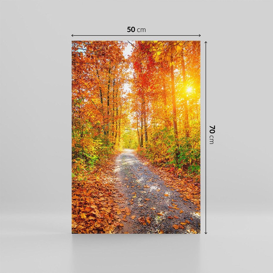 Obraz na płótnie 50x70 - Kolorowe drzewa na ścieżce jesieni - las, jesień
