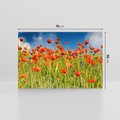 Obraz na płótnie 70x50 - Delikatne maki na kolorowej łące - mak, maki