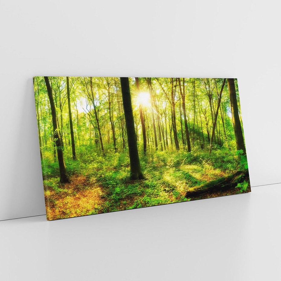 Obraz na płótnie 120x60 - Mistyfikujący las - las, drzewa