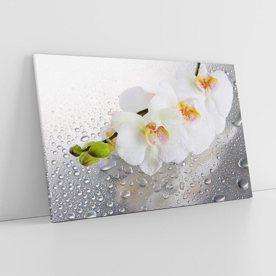 Obraz na płótnie 70x50 - Kwiatowy rój - kwiaty, kwiat