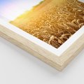 Plakat w ramie 30x40 - Żyzne Pola - pole, pszenicy - rama drewno