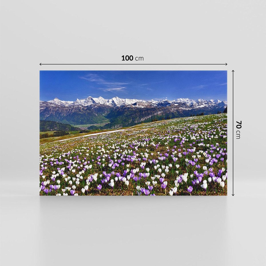 Obraz na płótnie 100x70 - Wiosenne Czarowanie - krokusy, góry