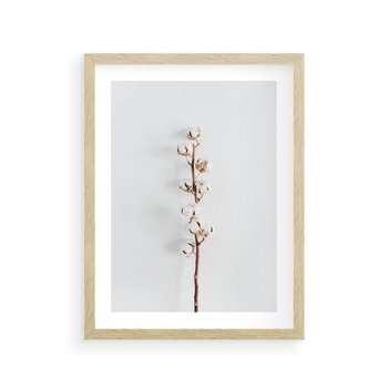 Plakat w ramie 40x50 - Minimalistyczna Gałązka Bawełny - bawełna, gałązka bawełny - rama drewno