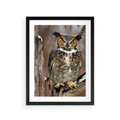 Plakat w ramie 30x40 - Tajemniczy Stróż - sowa, las - rama czarna