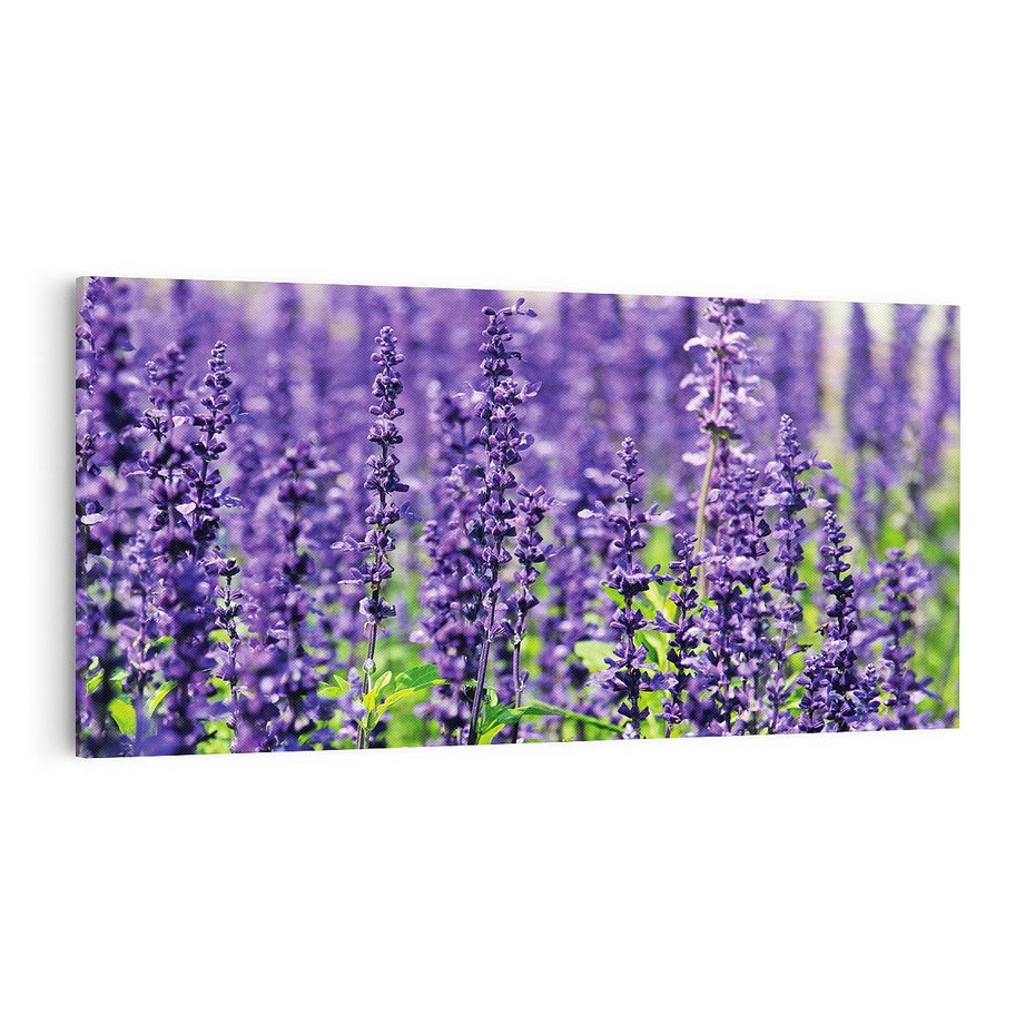 Obraz na płótnie 100x50 - Lawendowa Mgła - lawenda, kwiat