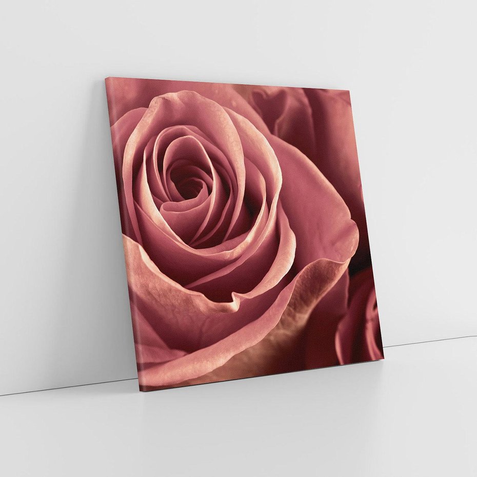 Obraz na płótnie 80x80 - Romantyczna Róż - róża, kwiat