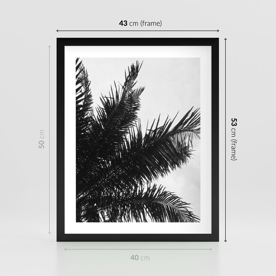 Plakat w ramie 40x50 - Czas Zapomnienia - palmy, czarno biała fotografia - rama czarna