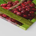 Obraz na płótnie 30x30 - Czereśnie w Koszyku Owocowy Skarb - czereśnie, koszyk