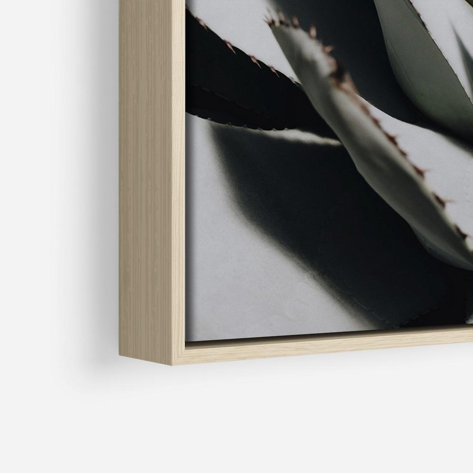 Obraz w ramie 100x70 - Sukulenty wśród kaktusów - sukulenty, kaktusy - rama drewno