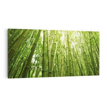 Obraz na płótnie 100x50 - Siła Natury - drzewa, las