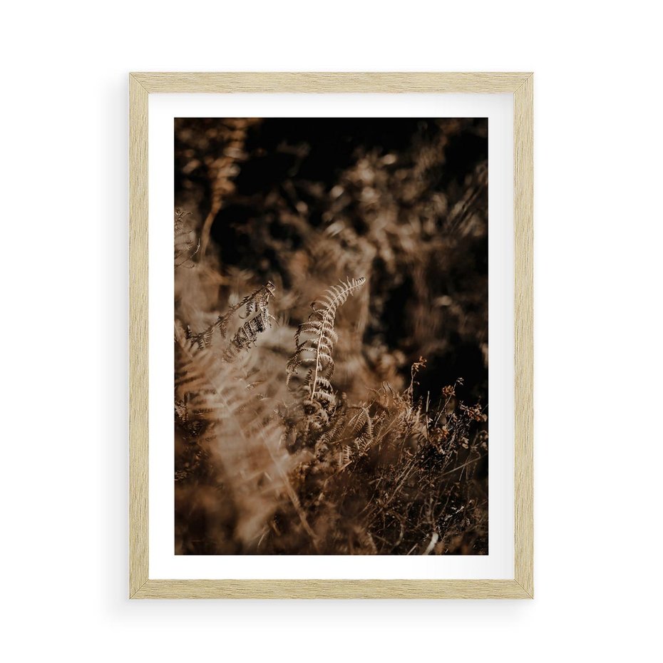 Plakat w ramie 50x70 - Delikatne Detale - paprocie, brąz - rama drewno