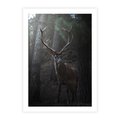 Plakat bez ramy 30x40 - Jeleń wśród lasu - jeleń, las