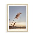Plakat w ramie 50x70 - Naturalna Delikatność - trawy, boho - rama drewno