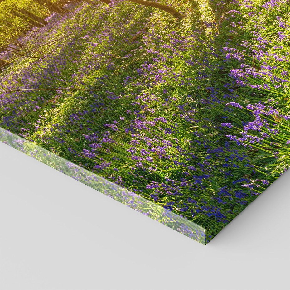 Obraz na płótnie 50x70 - Uroda lasu: harmonia drzew - las, drzewa