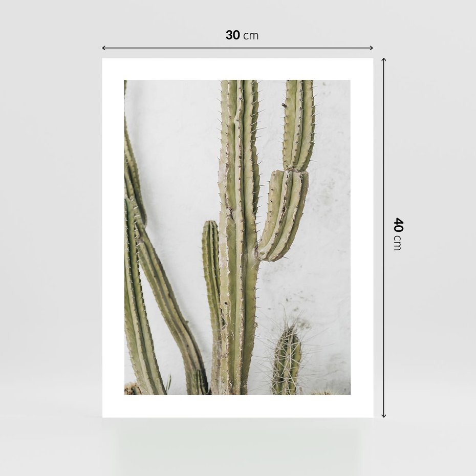 Plakat bez ramy 30x40 - Kaktus w Stylu Boho - kaktus, roślina tropikalna