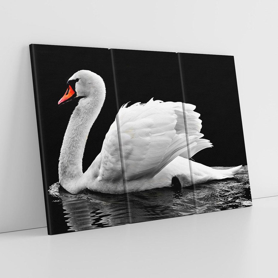 Obraz na płótnie 120x80 - Delikatne Uderzenie Skrzydeł Łabędzia - łabędź, ptak