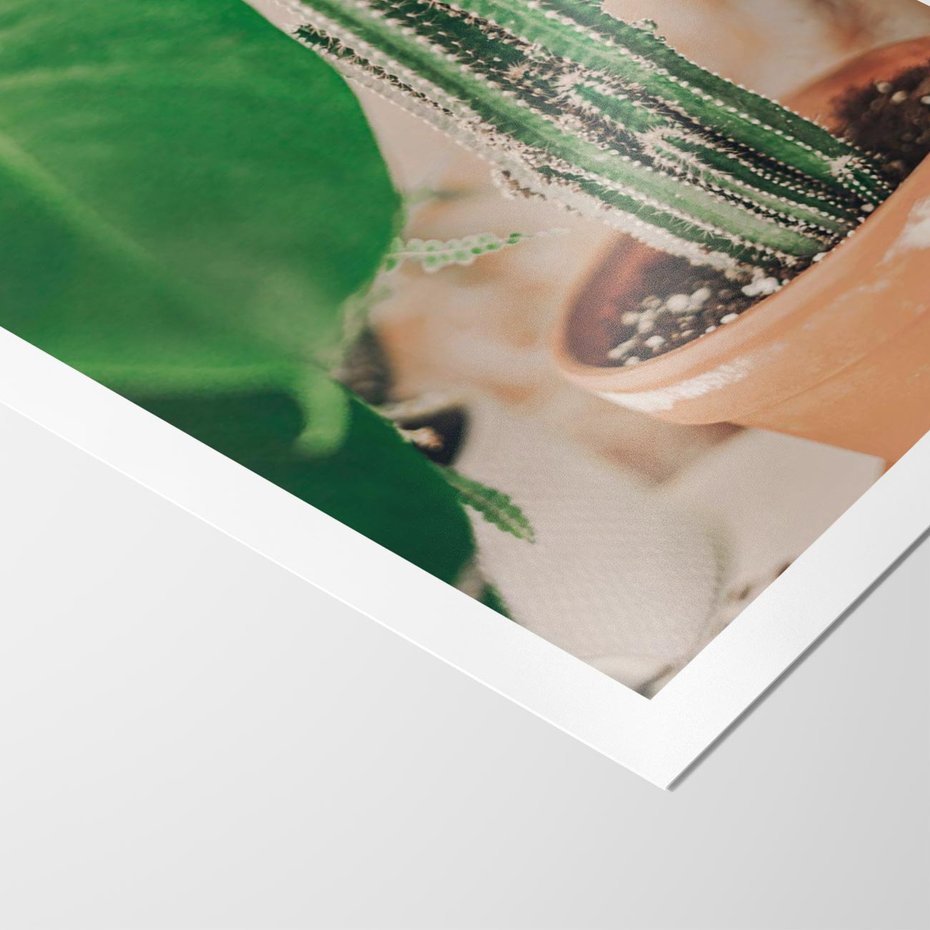 Plakat bez ramy 30x40 - Boho Urok - kaktus w doniczce, gliniana doniczka