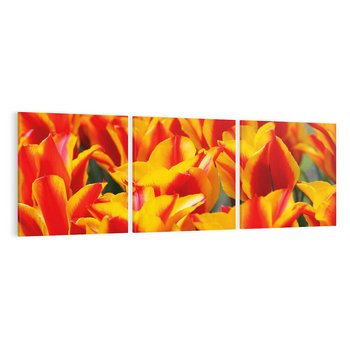 Obraz na płótnie 120x40 - Kwiatowa natura - kwiat, kwiaty