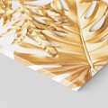 Obraz na płótnie 70x50 - Monstera Złote Liście - monstera, złote