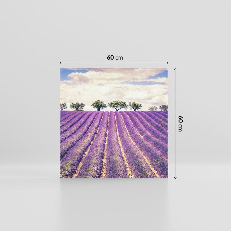 Obraz na płótnie 60x60 - Uroda Lawendy: Kwiatowy Cud Natury - lawenda, kwiaty