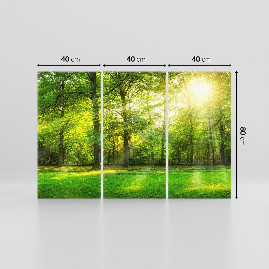 Obraz na płótnie 120x80 - Moc lasu - las, drzewa