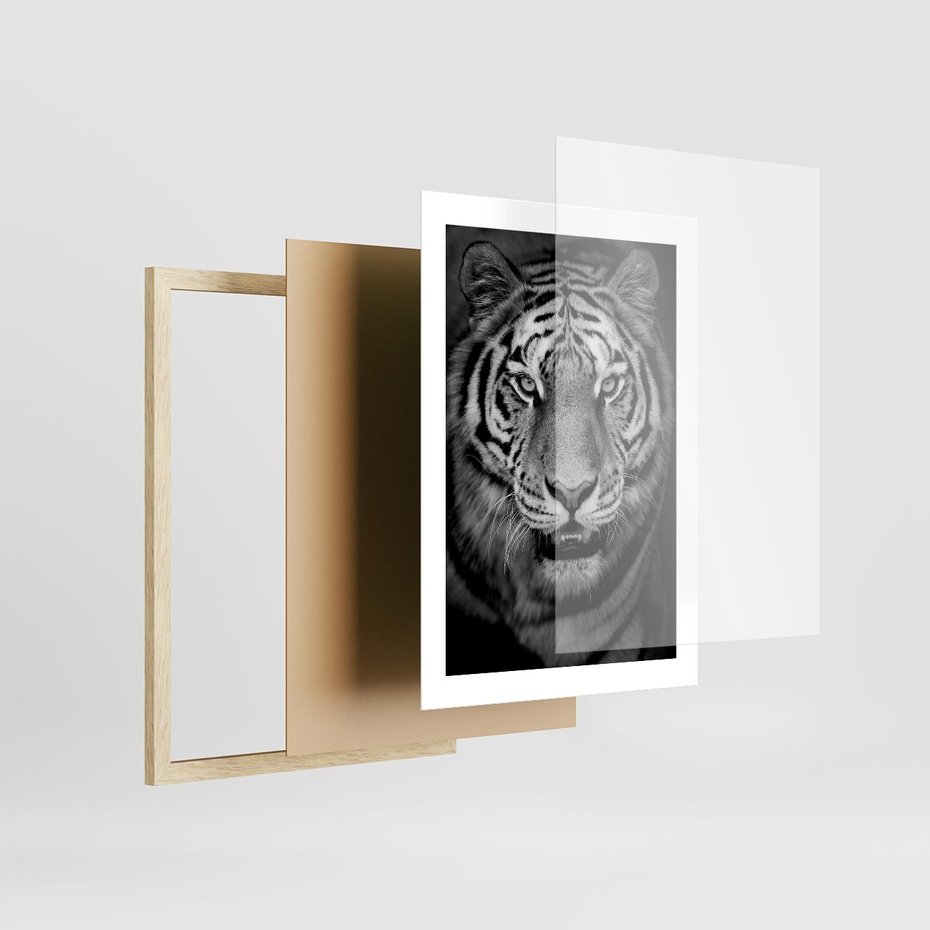 Plakat w ramie 30x40 - Tygrys Czarno-Biały: Siła i Delikatność - tygrys, czarno - rama drewno