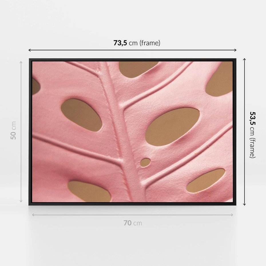 Obraz w ramie 70x50 - Różowa monstera w pełnym rozkwicie - różowa, monstera - rama czarna