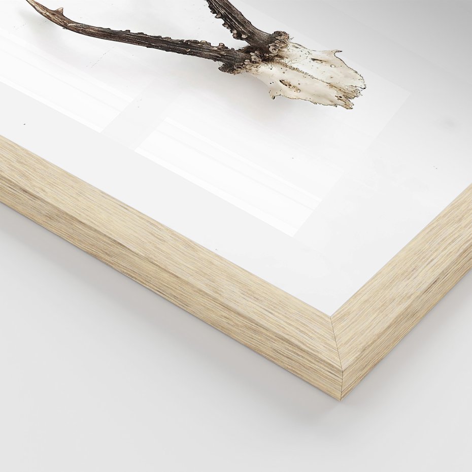 Zestaw obrazy w ramie 40x50 galeria - Kwiaty, boho, styl, minimalizm - rama drewno