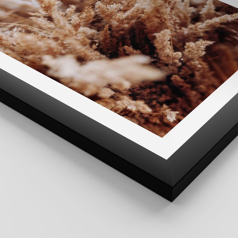 Plakat w ramie 40x50 - Sztuka Suszonych Traw - trawa pampas, suszone trawy - rama czarna