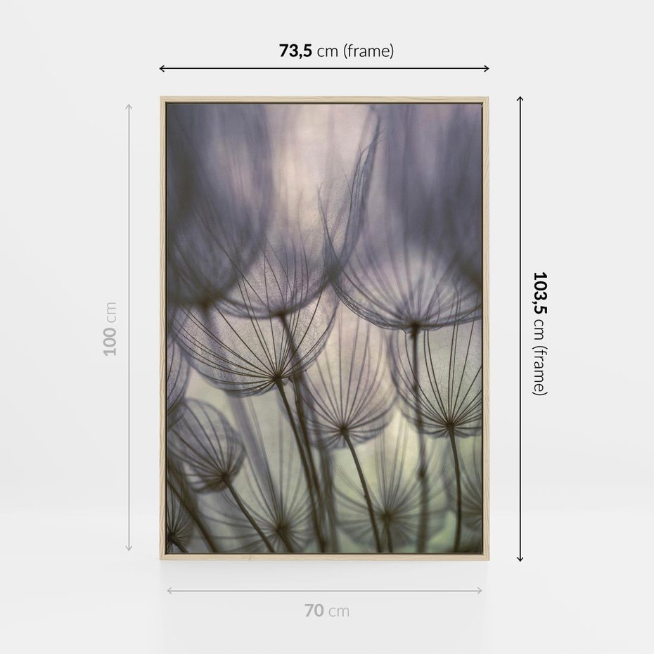 Obraz w ramie 70x100 - Makro dmuchawiec - piękno drobnych detali - dmuchawce, makro - rama drewno