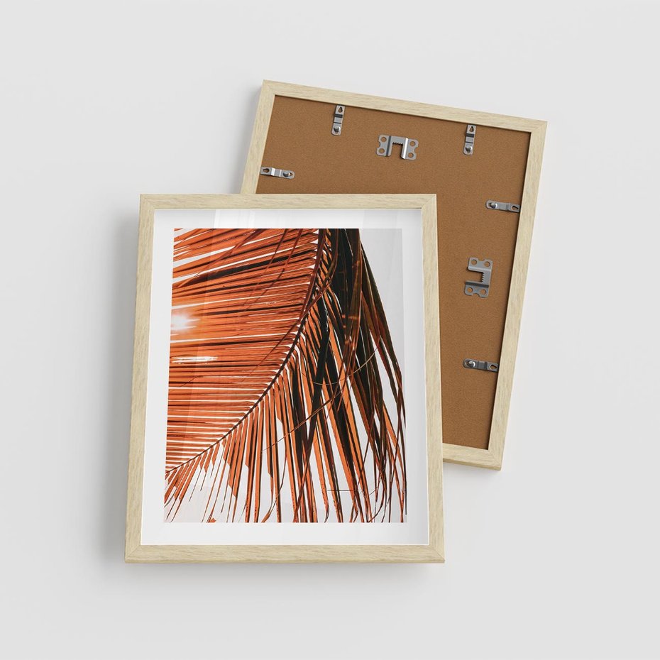 Plakat w ramie 40x50 - Słońce na Palmie - palma, promienie słońca - rama drewno