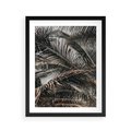 Plakat w ramie 40x50 - Liściaste Palmy - palmy, drzewa palmowe - rama czarna