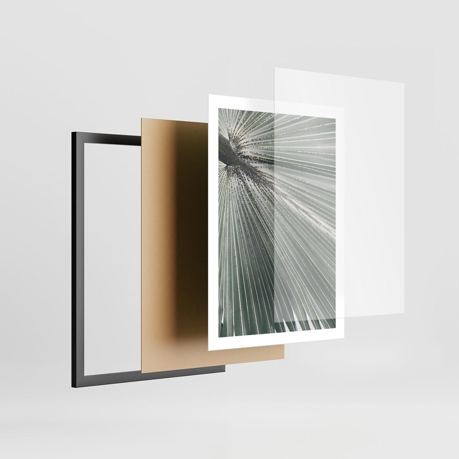 Plakat w ramie 50x70 - Jasnozielony Świat - palma, liść - rama czarna