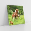 Obraz na płótnie 80x80 - Galopujące konie - konie, galop