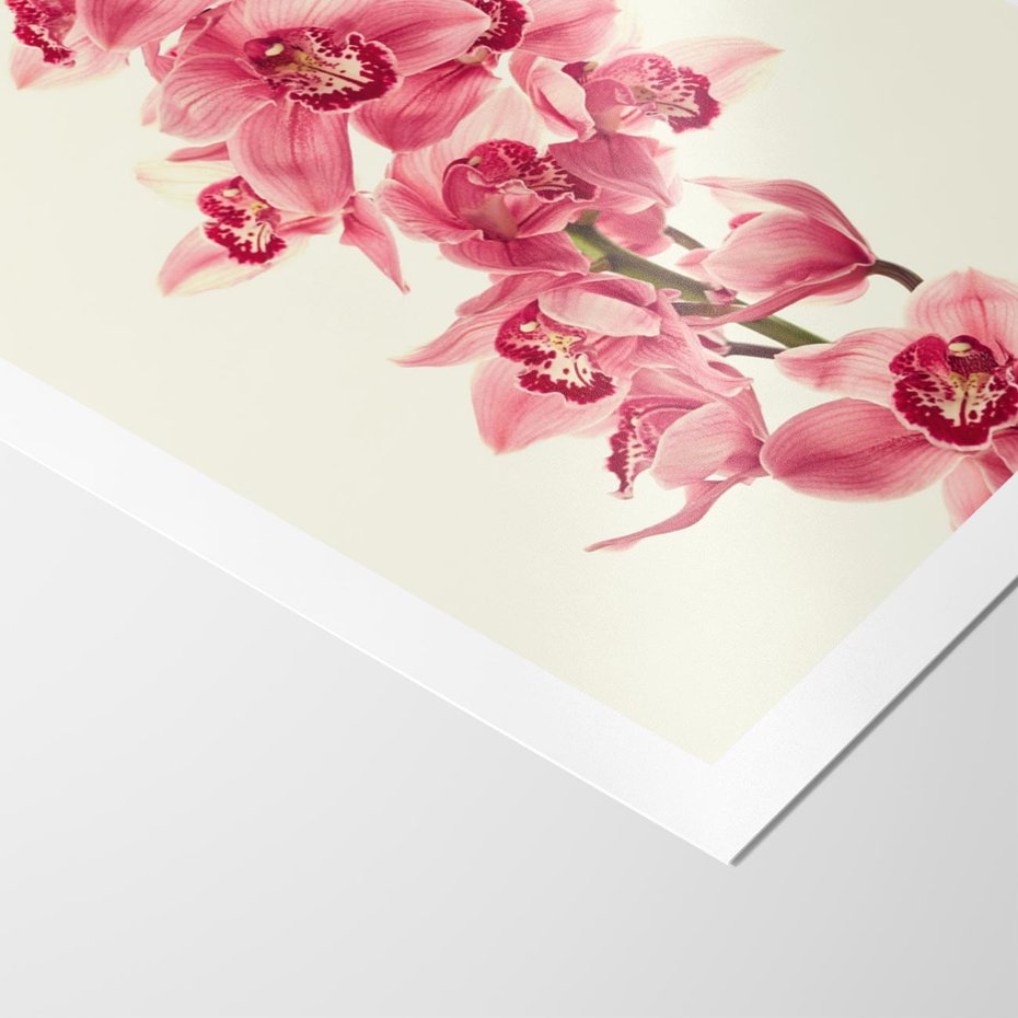 Plakat bez ramy 21x30 - Orchidea w spa - relaks - orchidea, spa