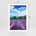 Plakat bez ramy 21x30 - Prowansalska Lawenda - lawenda, prowansja