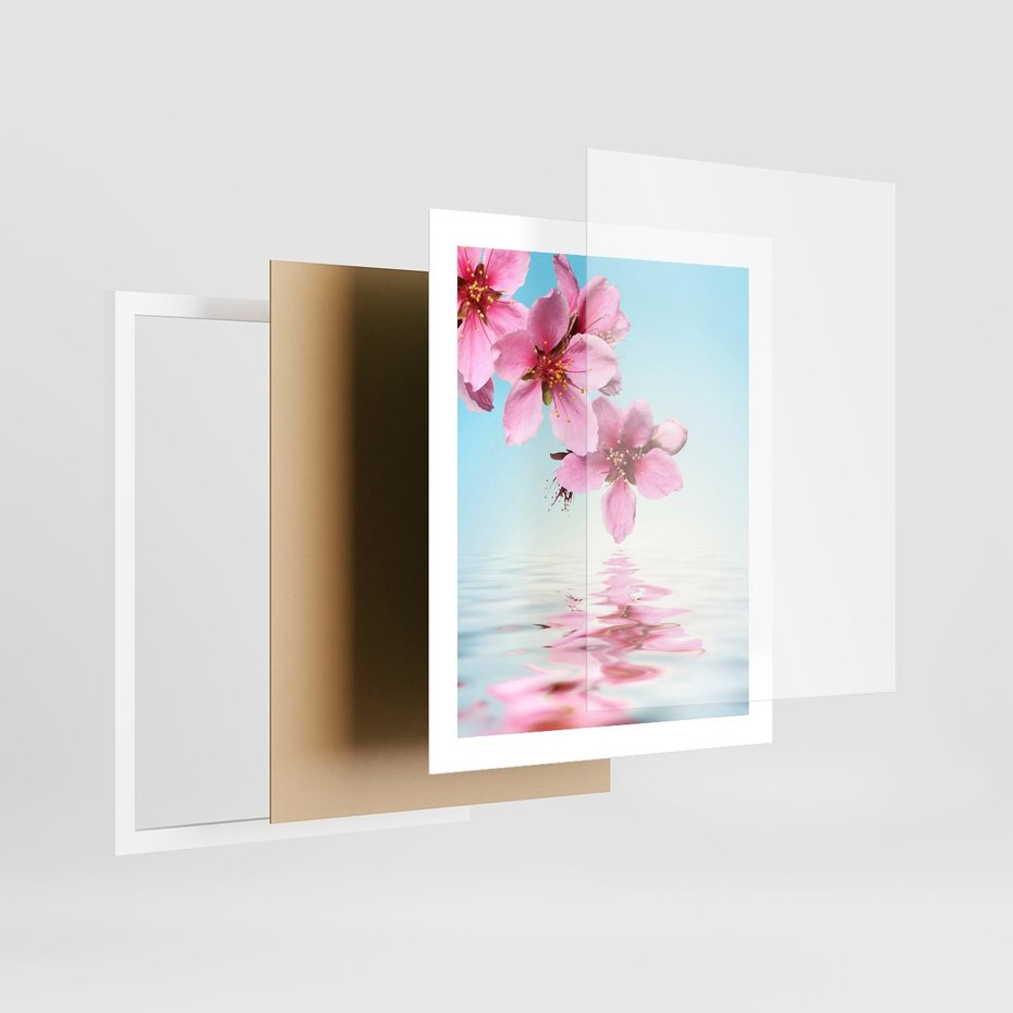 Plakat w ramie 40x50 - Magia kwitnącej wiśni - kwitnąca, wiśnia - rama biała